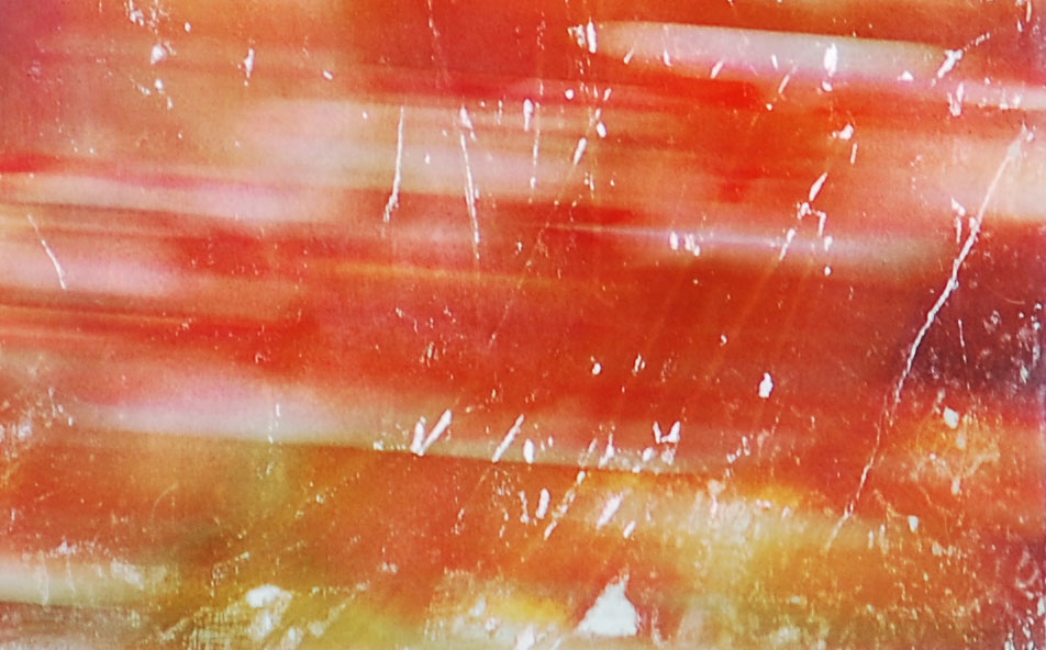 Tulpengruppe rot Detail
