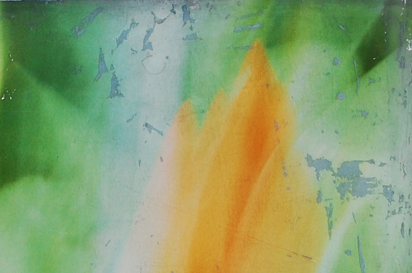 Tulpe rot Detail